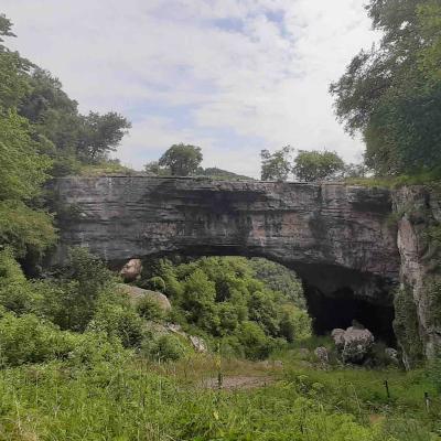 Pontediveja1