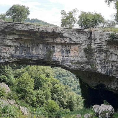 Pontediveja3