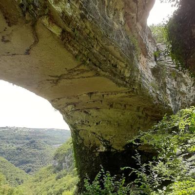 Pontediveja2